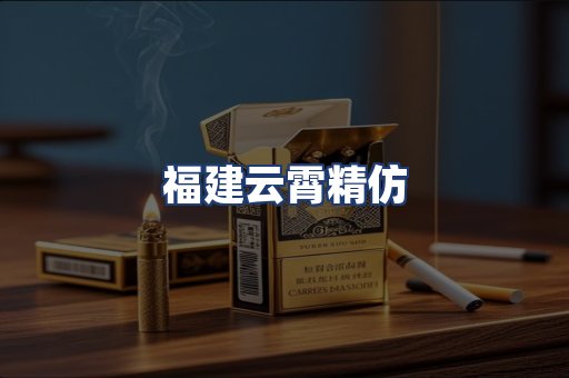 福建云霄精仿